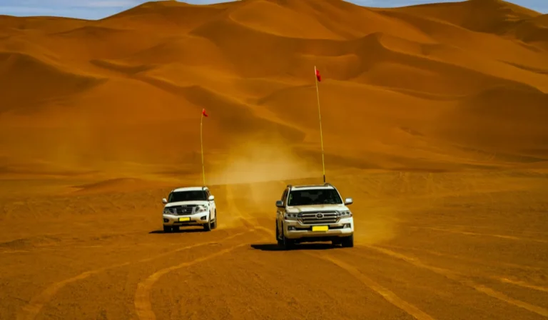 BEST Evening Desert Safari Dubai Tours in 2025